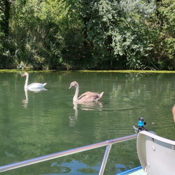 Femme sur la barque prenant une photo